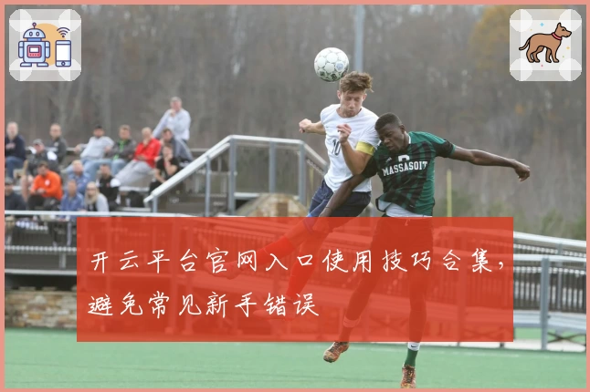 开云平台官网入口使用技巧合集，避免常见新手错误