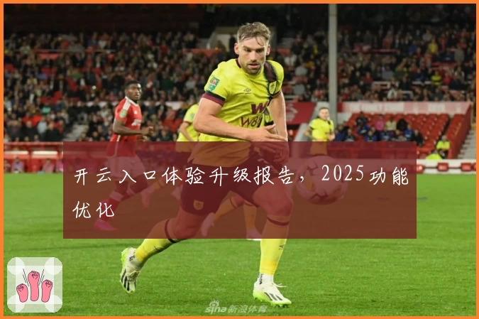 开云入口体验升级报告，2025功能优化