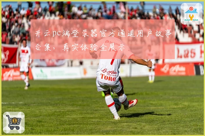 开云pc端登录器官方通道用户故事合集，真实体验全展示