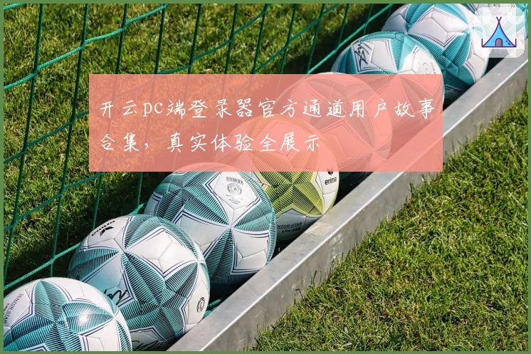 开云pc端登录器官方通道用户故事合集，真实体验全展示