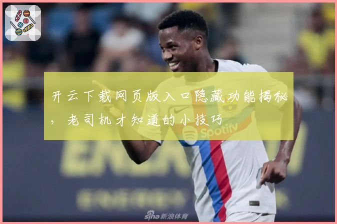 开云下载网页版入口隐藏功能揭秘，老司机才知道的小技巧