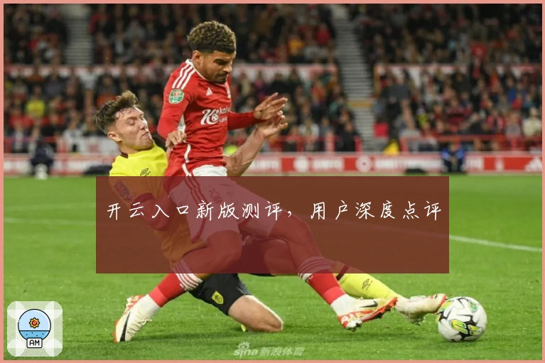开云入口新版测评，用户深度点评